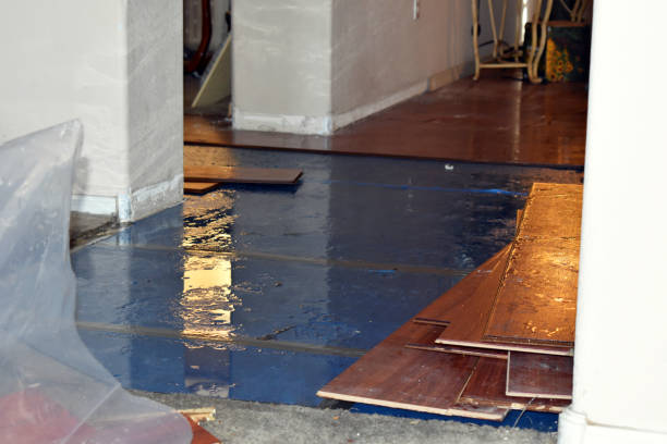 Professional Burst Pipe Cleanup technician working in Newfield, NJ